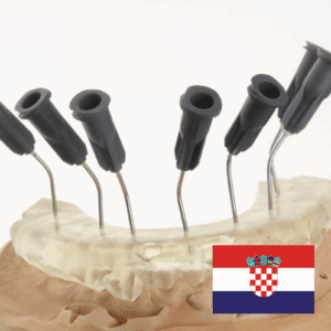 [PUNI PAKET] INJEKCIJSKA TEHNIKA: Kompozitne ljuske Masterclass + Funkcijski program Kompozitni table topsi na bočnim zubima - Snimke webinara